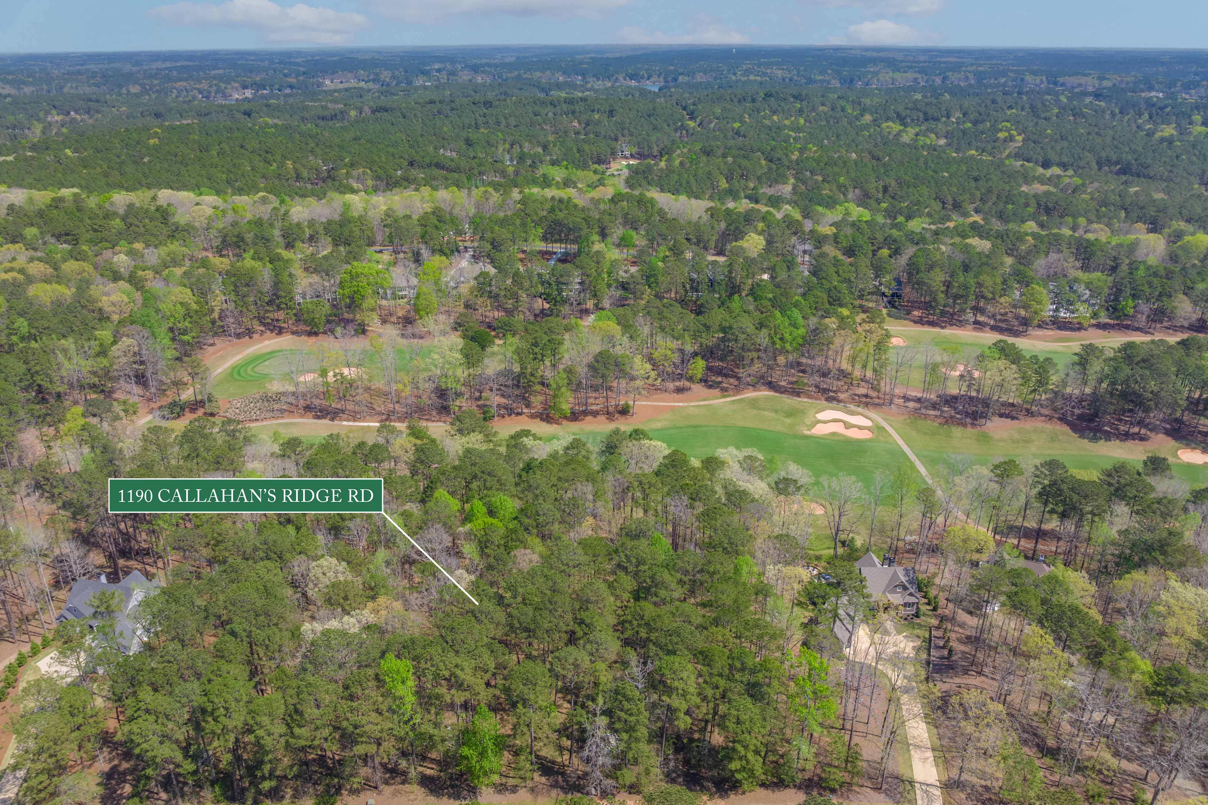 1190 Callahan's Ridge Road image 23